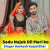 About Sadu Najuk Dil Mari ko Song